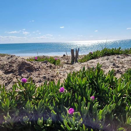 207 Cap D'Agde Naturiste Grand T2 De Standing Avec Garage Εξωτερικό φωτογραφία